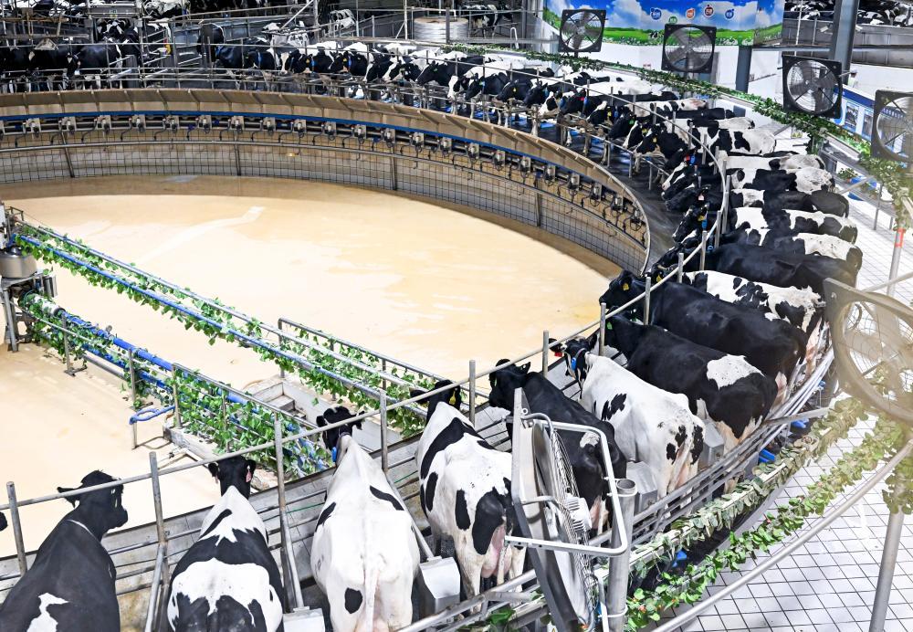 活力中國調研行｜一盒牛奶的“碳中和”之旅