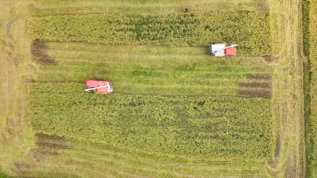 新華視點｜科技扎根田野間 多地探索農(nóng)業(yè)高質(zhì)量發(fā)展新路徑