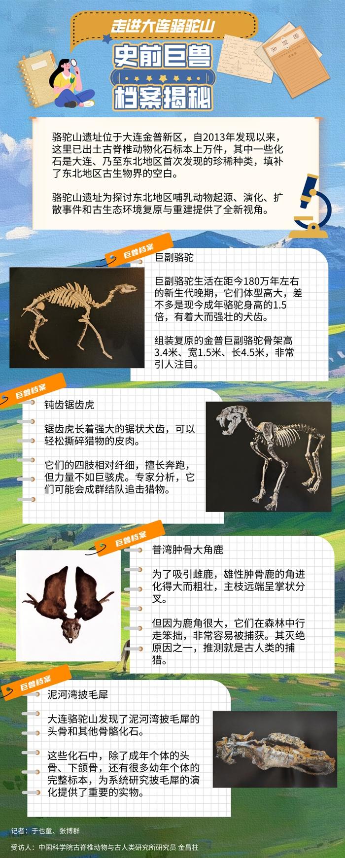 走進大連駱駝山：史前巨獸檔案揭秘