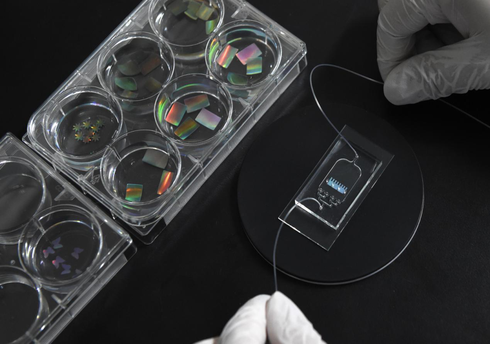 中國芯力量丨在“芯片”上“種”器官