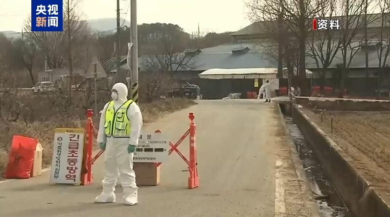 韓國報告今秋首起高致病性禽流感疫情