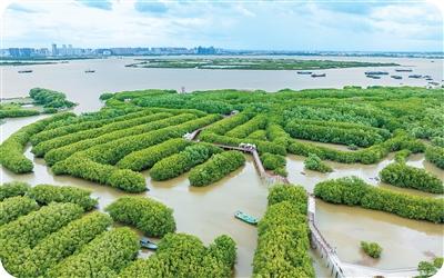 碳市場2.0，中國這樣布局