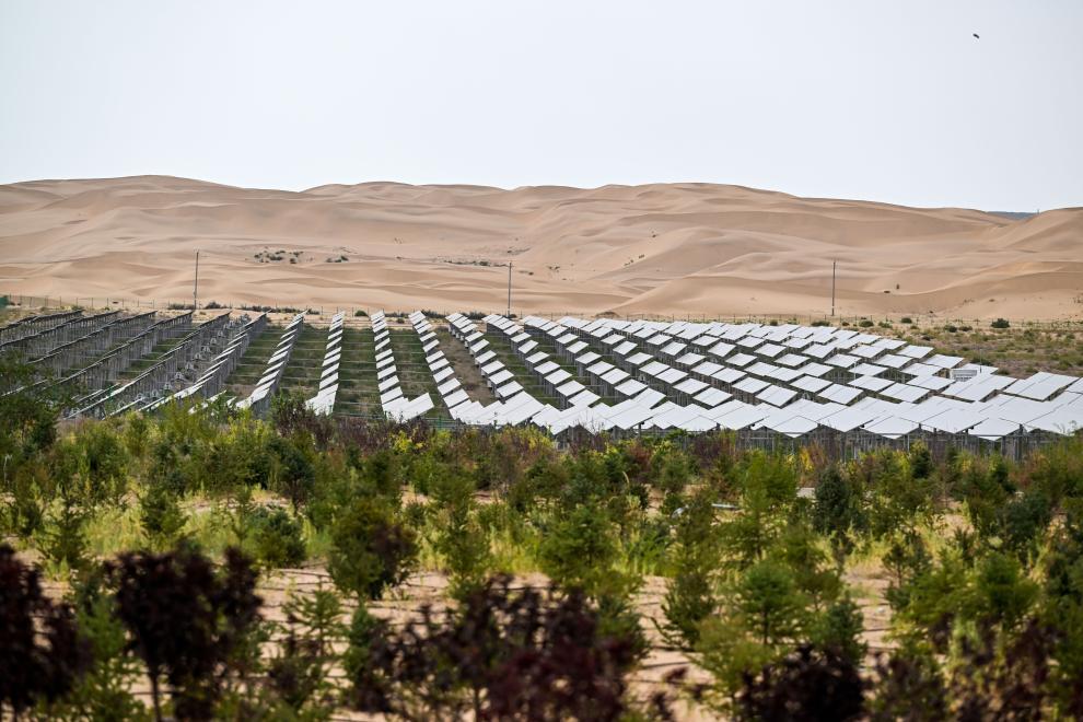 中國防沙治沙經驗助力全球生態治理