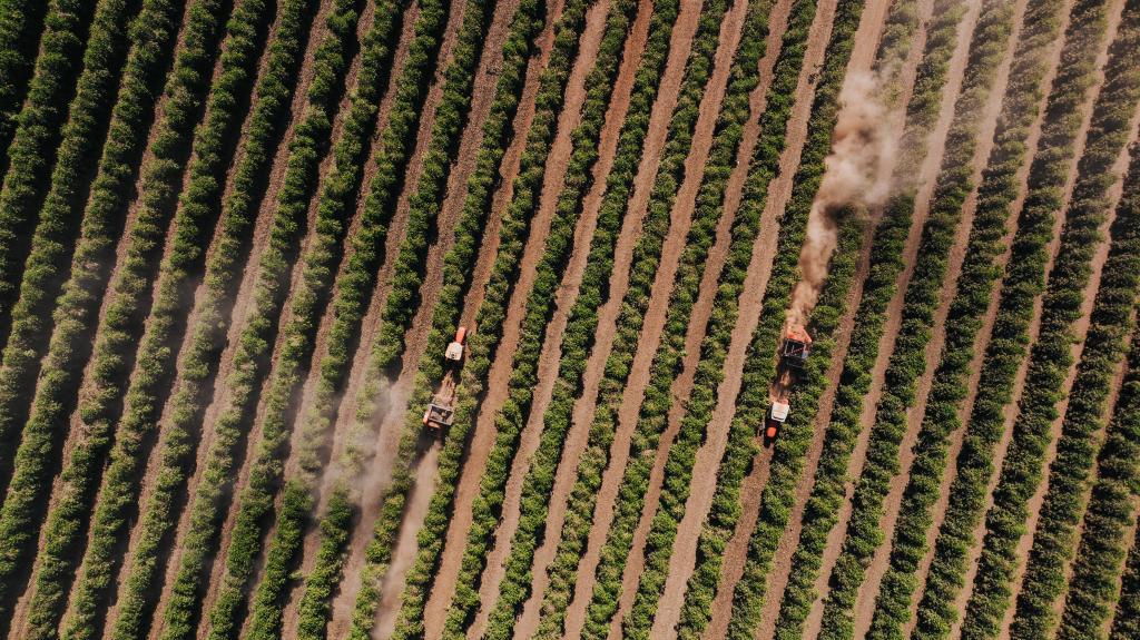通訊丨美國關稅沖擊下巴西咖啡產業尋新機