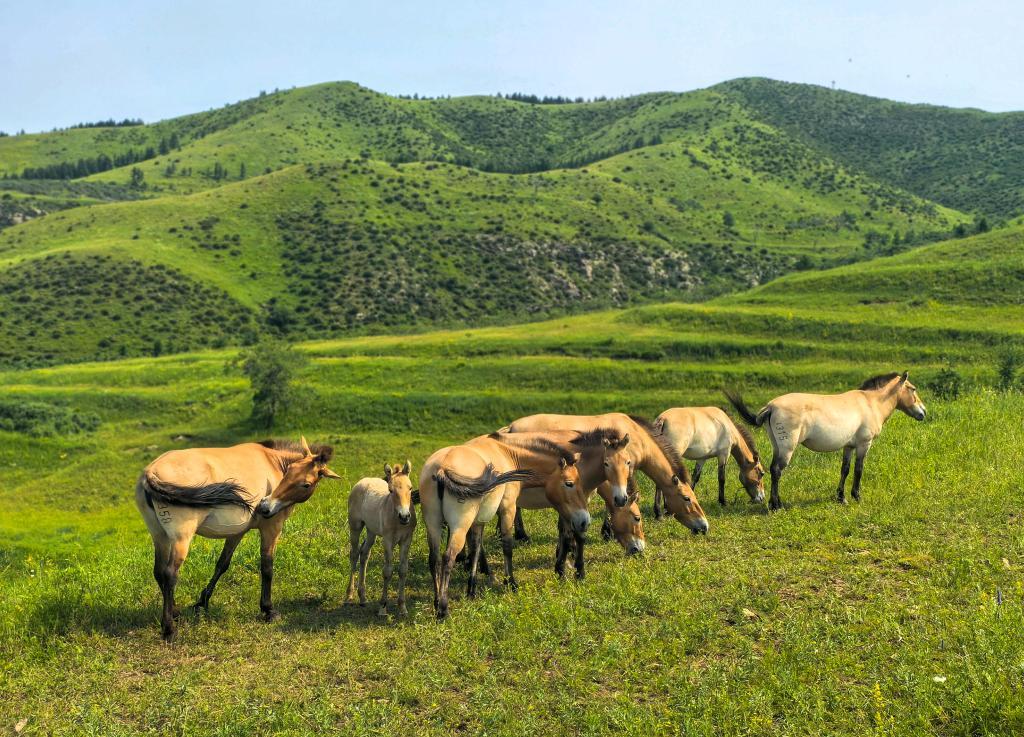 中國新增兩個世界生物圈保護區