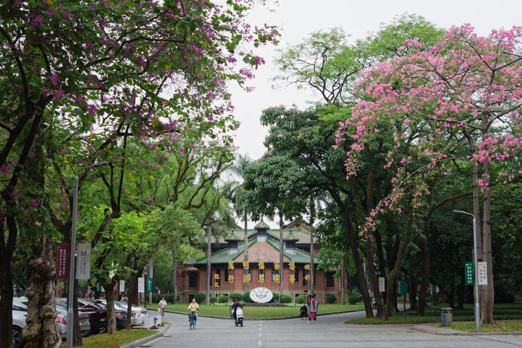 校館弦歌｜懷士堂：中山大學(xué)中軸線上的人文地標(biāo)