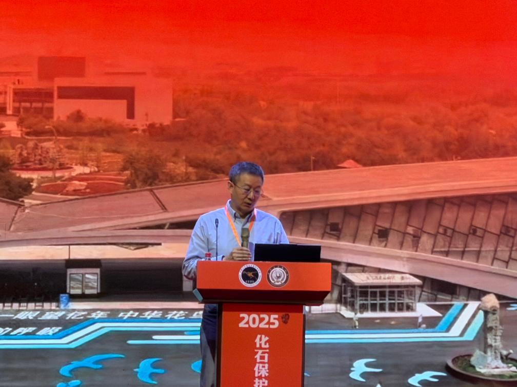 “恐龍?jiān)菏俊毙煨牵涸诔枺⒆觽兛梢越嚯x與化石對話