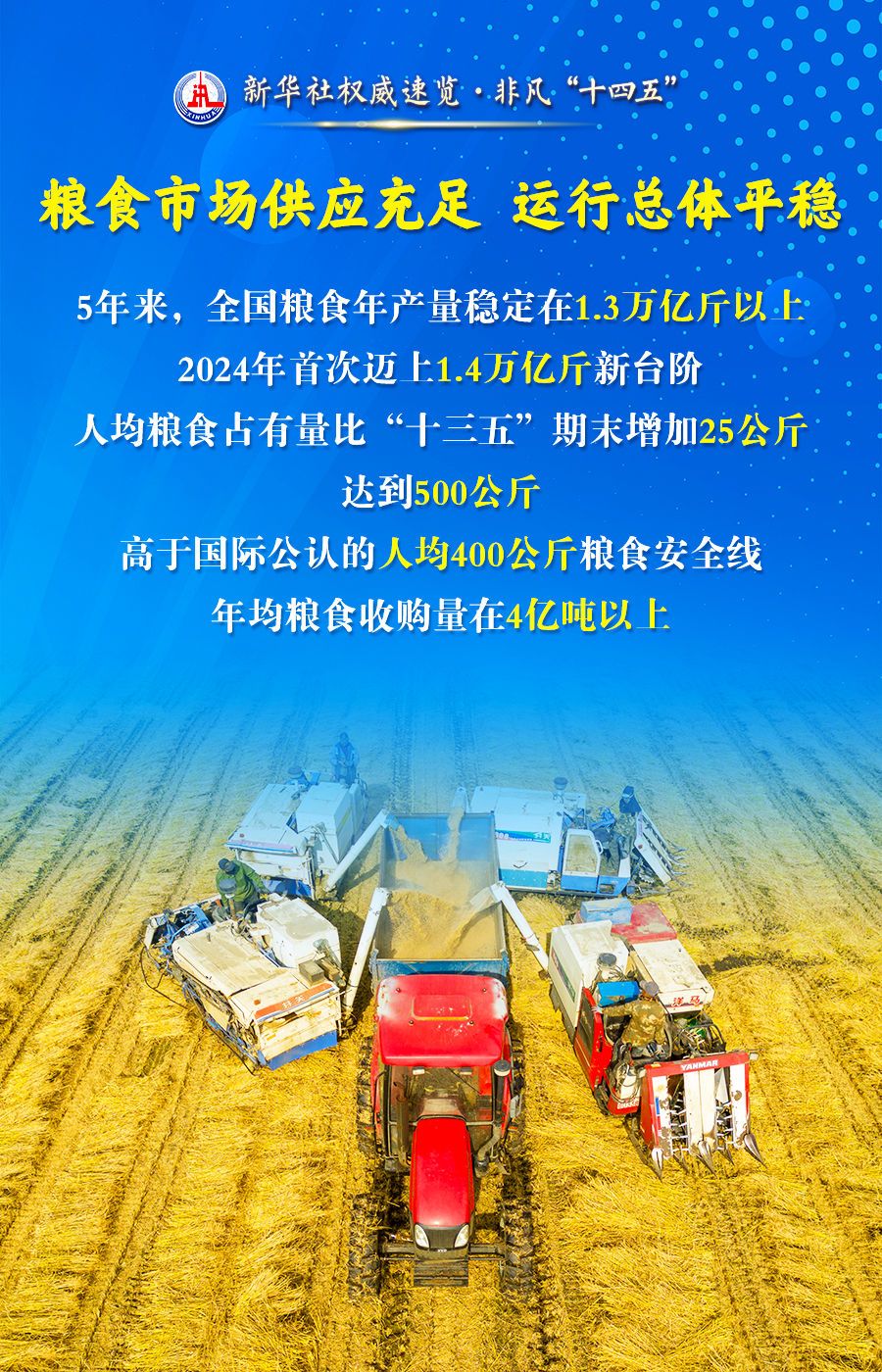 新華社權威速覽·非凡“十四五”丨保障國家糧食安全，他們這樣干！