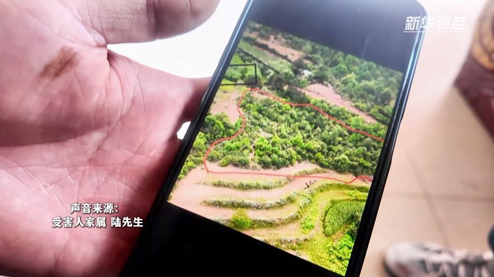 新華視點丨胡蜂消費背后的安全隱患