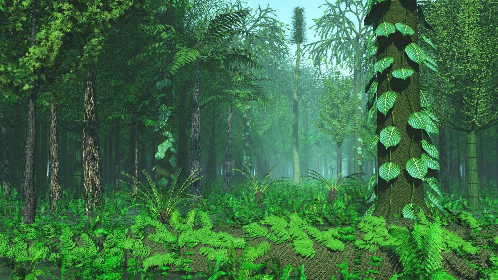 遠(yuǎn)古發(fā)現(xiàn)｜2.5億年前一場(chǎng)“森林倒塌”，如何演變成全球性災(zāi)難