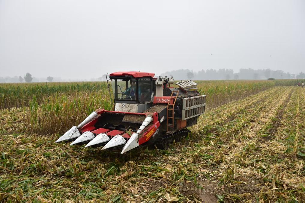 新華視點丨如何打好秋收秋種這場硬仗？