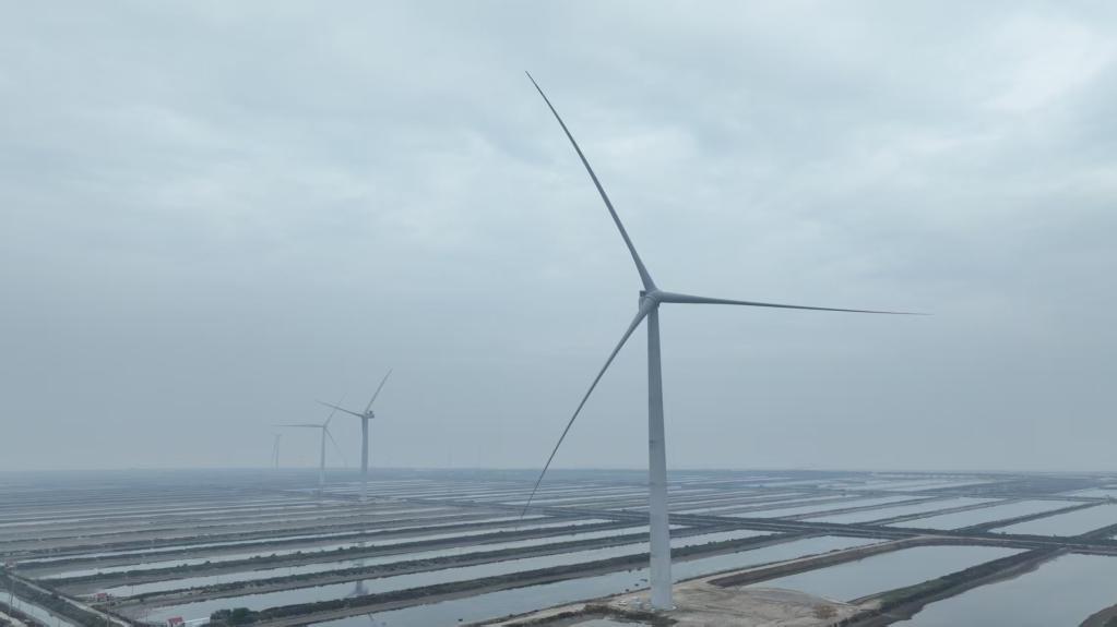 全球最大！26兆瓦級海上風電機組在山東并網發電