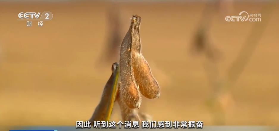 中美就擴大農產品貿易達成共識 美國豆農如釋重負